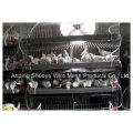 Pigeon Cage Rabbit Cage Pet Cages